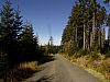 DSC05943.jpg